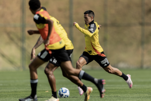 Galo