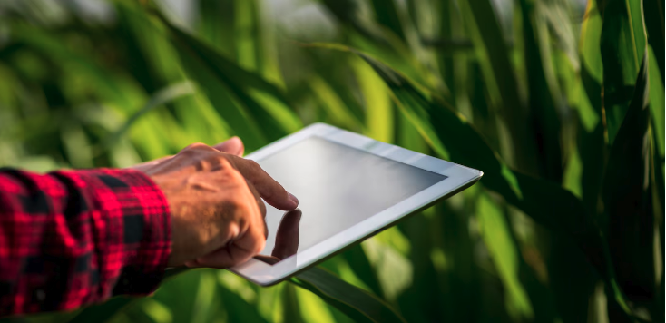 Fintechs Agrícolas